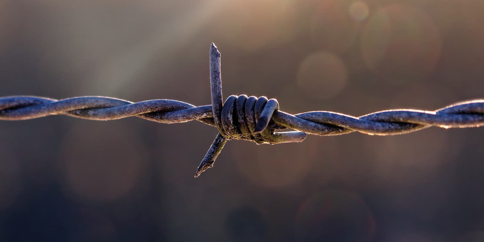 Stacheldraht als Symbol für die Sicherheit des Dokumentenmanagementsystem